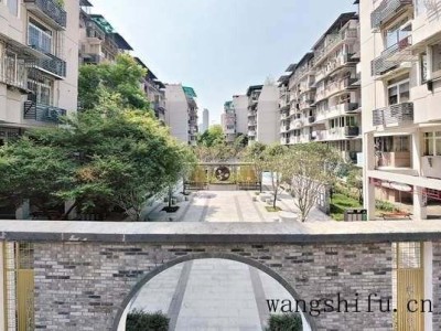 墙衣缺点有什么啊？