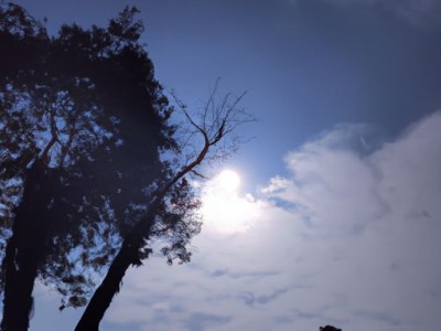 中兴手机哪个系列好及中兴手机哪个系列好用