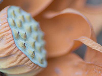 简约风格客厅（简约风格客厅装修效果图）