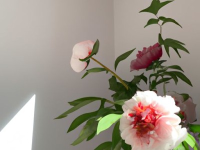 客厅挂牡丹哪个方向好