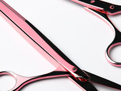 红鼻剪刀及红鼻剪刀鱼：蕴含着丰富的文化和美食价值