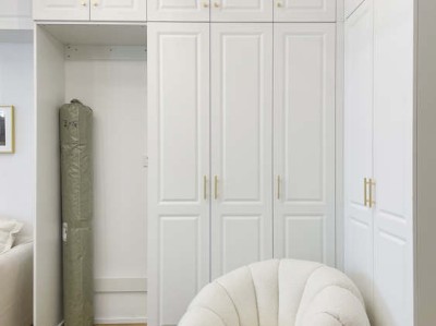 丽纹龙蜥及其保护现状