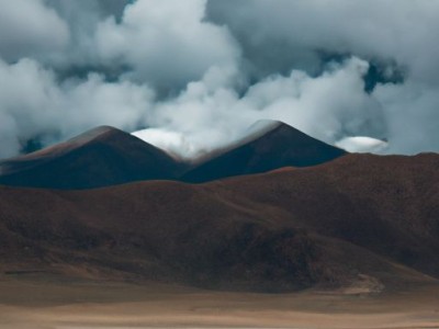 万年青及万年青植物图片及详细描述