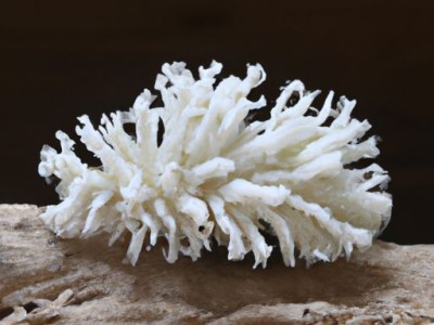 手绘艺术墙的历史小知识