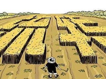 遵市土地流转补贴标准是什么