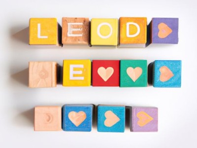 爱格板及其特点介绍