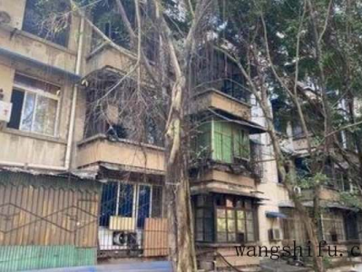 互补色对比色（互补色对比色邻近色）