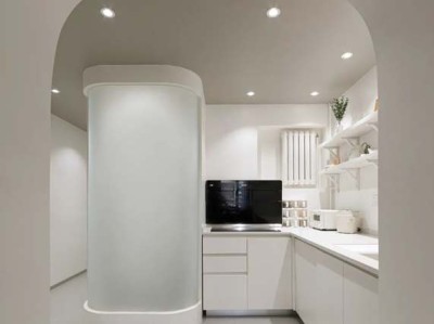 夏威夷椰子（夏威夷椰子的养殖方法和注意事项）