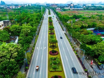 一品红（一品红人小说免费阅读全文）