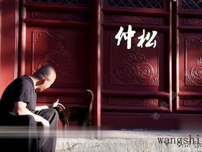 蓝花楹适合哪个省种植（蓝花楹适合哪个省种植呢）