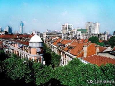 蜂胶哪个牌子好（澳大利亚蜂胶哪个牌子好）