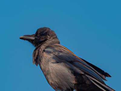 单向阀及单向阀开启压力选择