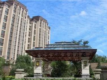 开发商违建超建属于哪个部门管