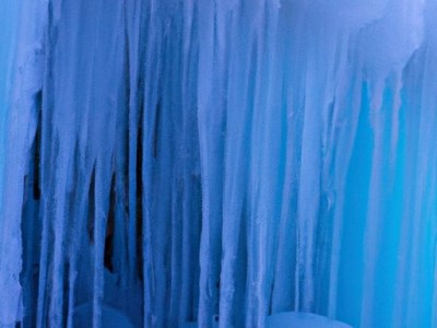 什么是冰墩墩及大熊猫为什么是冰墩墩