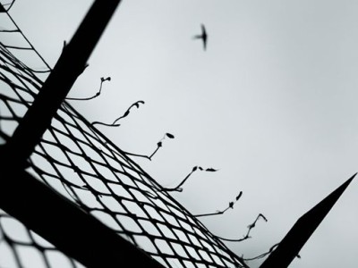 隐形防盗网：安全、美观、环保的新选择