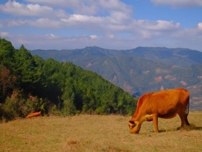 买房交完定金最迟多久交首付