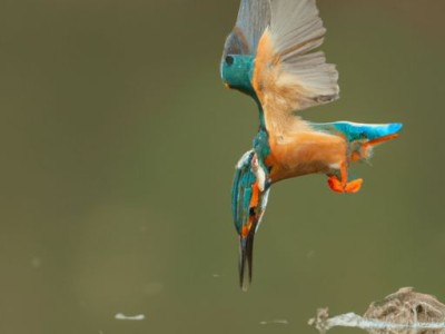 按揭房贷选哪个银行好（按揭房贷选哪个银行好一点）