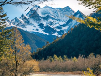巴吉度及巴吉度犬