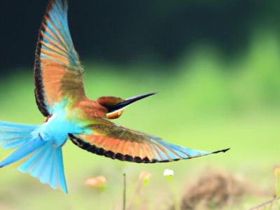 隔膜阀及隔膜阀图片