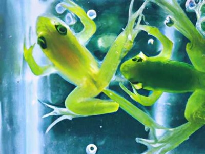 交房注意事项及事项详解