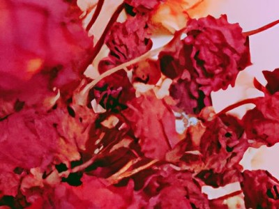 干花和仿真花哪个好？如何选择？