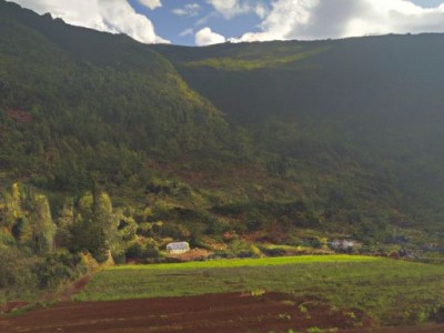 阿里斯顿壁挂炉