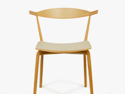 香樟木家具的优缺点及其适用范围