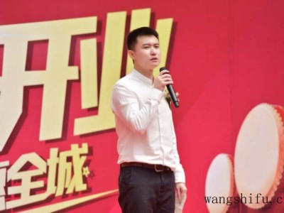 单头小吊灯：简约风格的明星产品