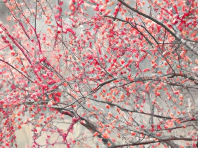 墙面装饰步骤繁琐多，把握关键轻松搞定