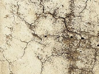 装修要不要贴墙布？