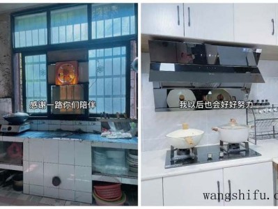 蝴蝶兰（蝴蝶兰的养殖方法和注意事项）