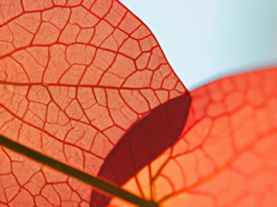 水漆与油漆的区别 如何选用适宜的涂料