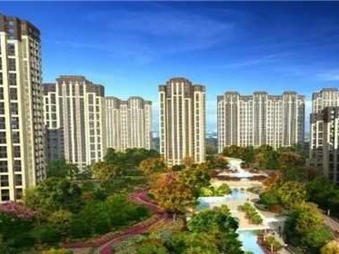 为什么聪明人不买凤凰层