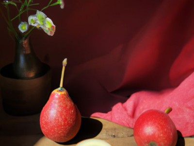 红酸枝和缅甸花梨哪个好？