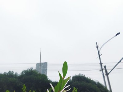 无刷有刷哪个好用？有刷无刷那个好？