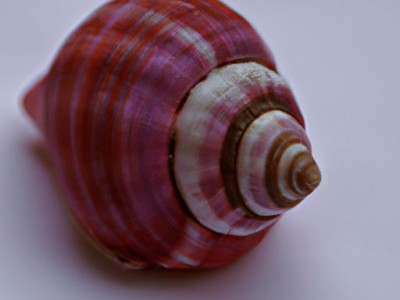 红螺寺：禅宗名刹与文化遗产