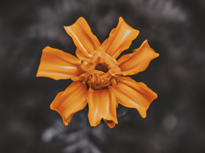 德维尔衣柜（德维尔衣柜属于几线品牌）