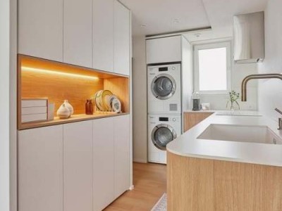 青蒿的功效与作用及其相关研究进展