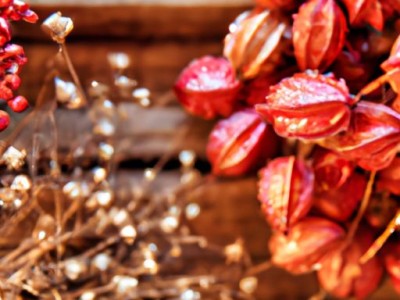 橡胶木和红椿木哪个贵些？