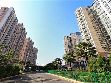 房产证没下来怎么更名