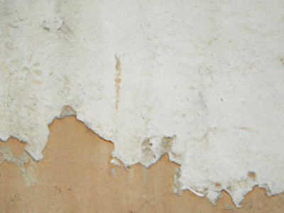 墙面涂料及墙面涂料种类详解