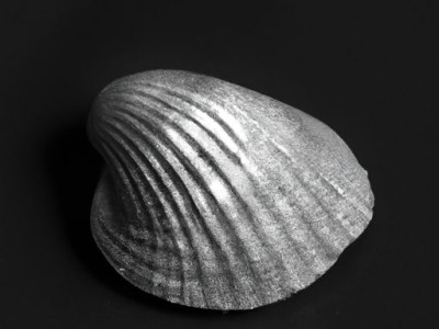 刷墙面漆完整三步攻略