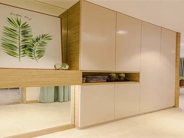 什么叫客厅玄关