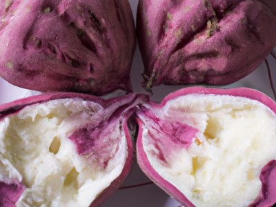 hous功放及hous功放是什么牌子