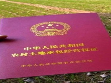 2020农村房屋确权是什么意思