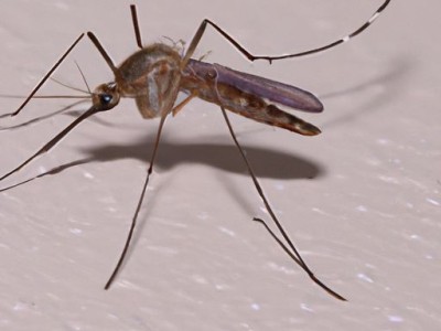 不动产登记是哪个单位管理的