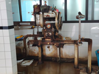 奥柯玛与海尔哪个好（奥柯玛与海尔哪个好一点）