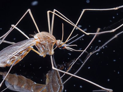 蚊帐安装视频教程及步骤