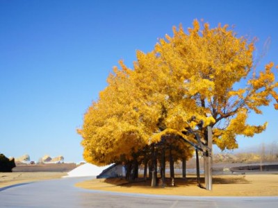 2018立冬是几月几日及2018立冬是几月几日几点