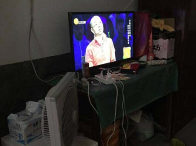 哪个品种鹤望兰最好看（哪个品种鹤望兰最好看图片）